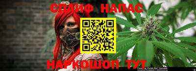 дмт Будённовск